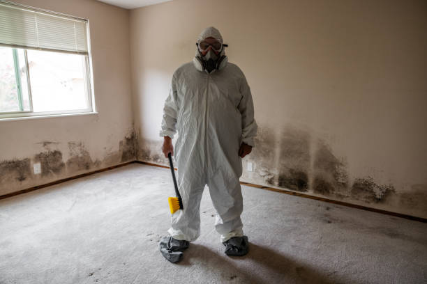 Environmental Consulting for Mold Prevention in King Of Prussia, PA